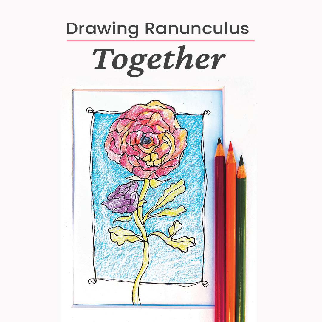 Hand coloring a drawing of a ranunculus, highlighting the drawing workshop at the flower fields carlsbad.