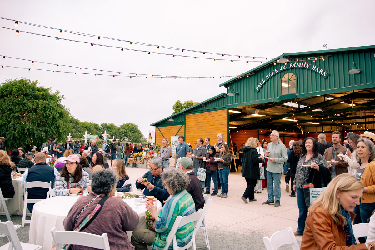 People gather at outdoor tables and mingle near a green barn labeled M.J. Locke Jr. Family Barn during a festive event at The Flower Fields Carlsbad, with string lights overhead and trees in the background.