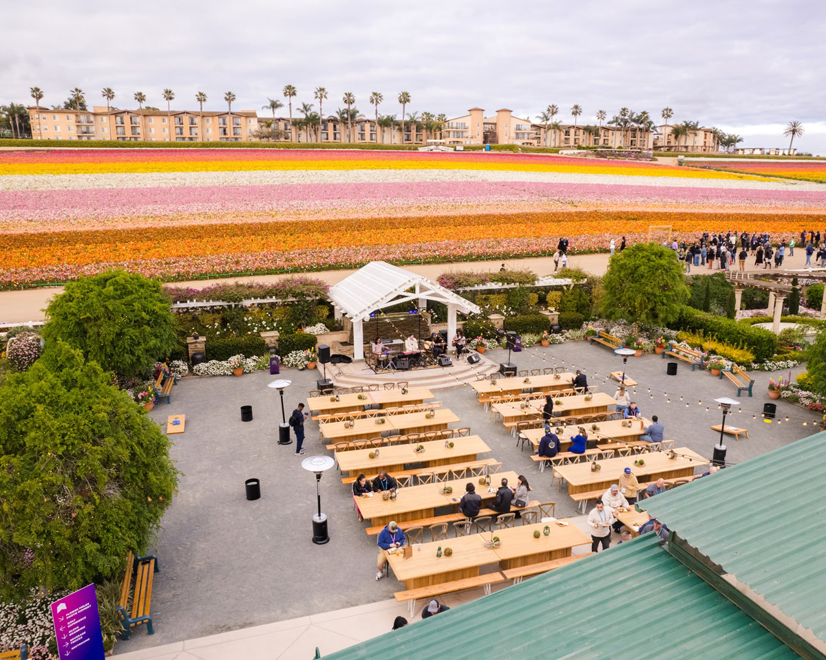 Overhead view of vibrant flower fields and wooden tables with chairs set up for an event at The Flower Fields Carlsbad